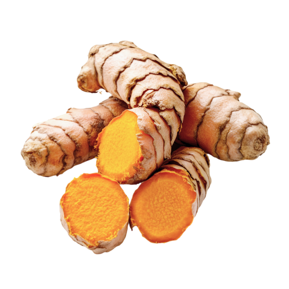Curcuma