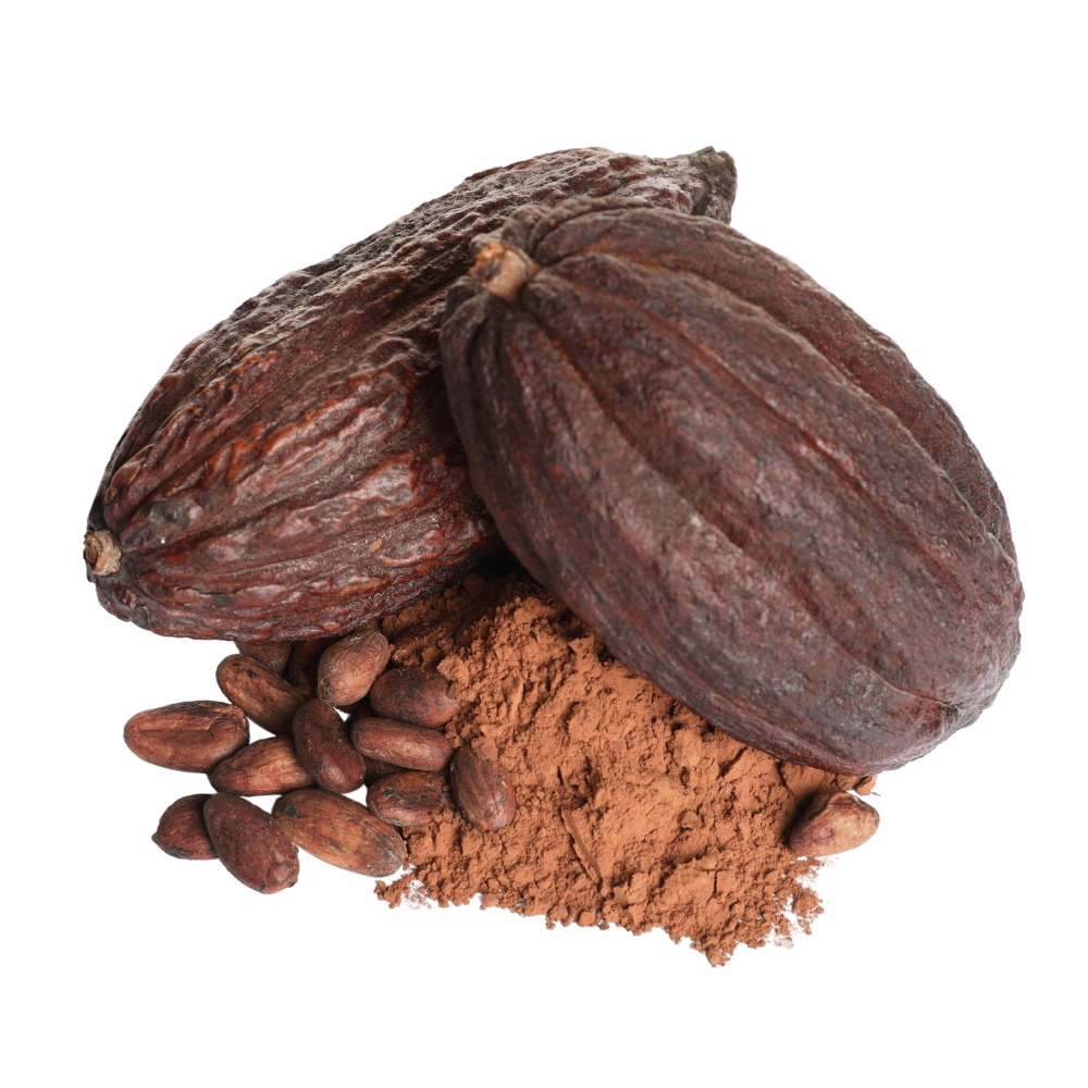 Extrait de cacao