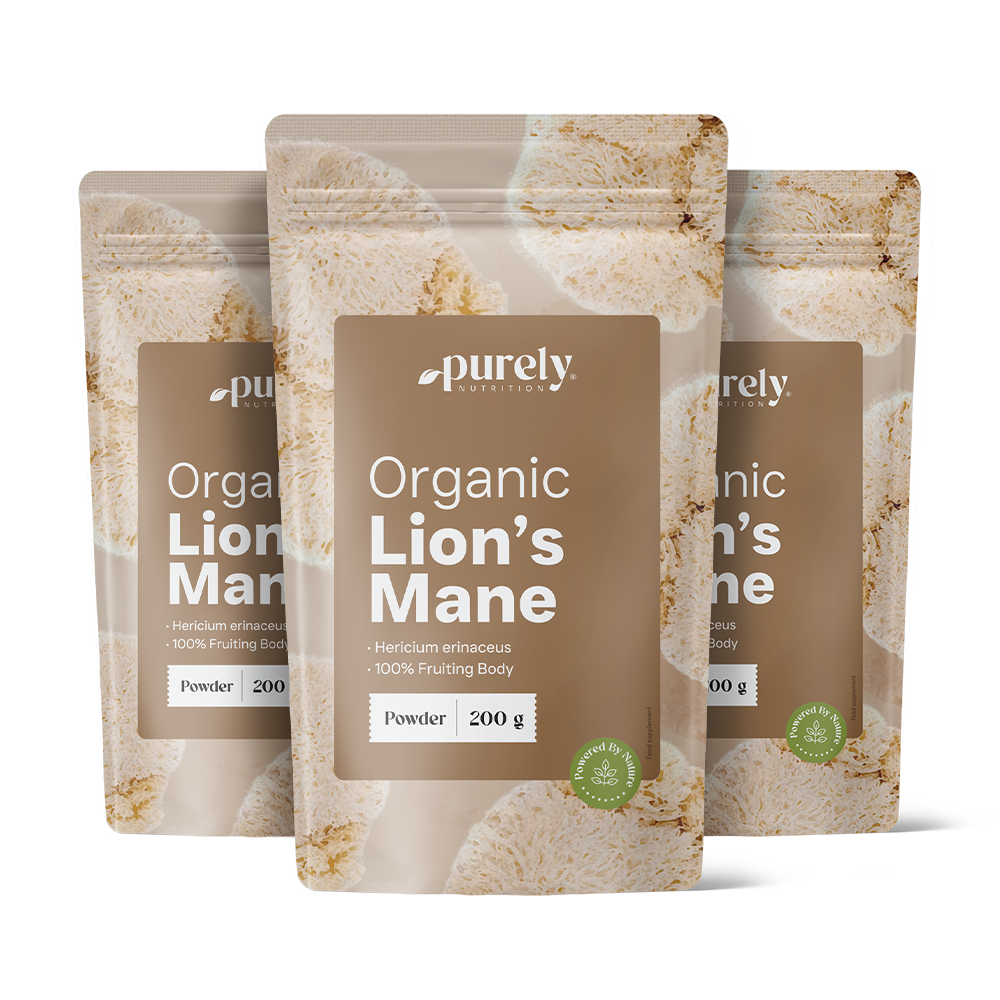 BIO Hydne hérisson (crinière de lion) – poudre de champignon
