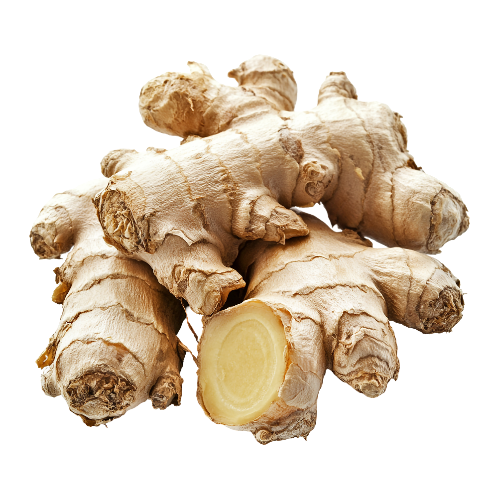 Gingembre